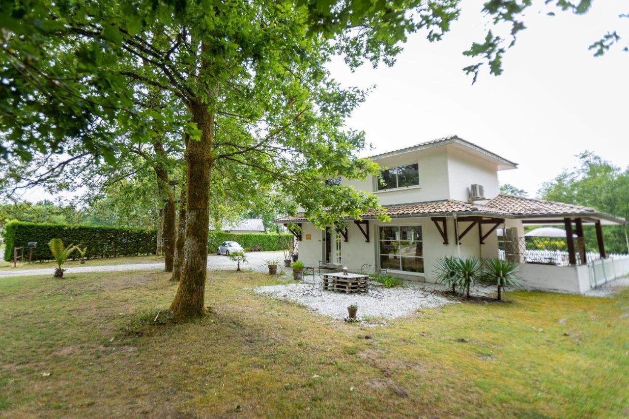 La Villa Minvia Les Landes Entre Mer Et Montagne Saint-Vincent-de-Paul  المظهر الخارجي الصورة
