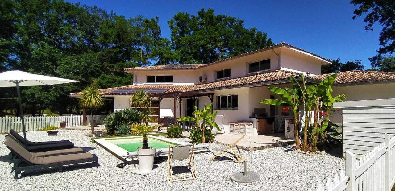La Villa Minvia Les Landes Entre Mer Et Montagne Saint-Vincent-de-Paul  المظهر الخارجي الصورة